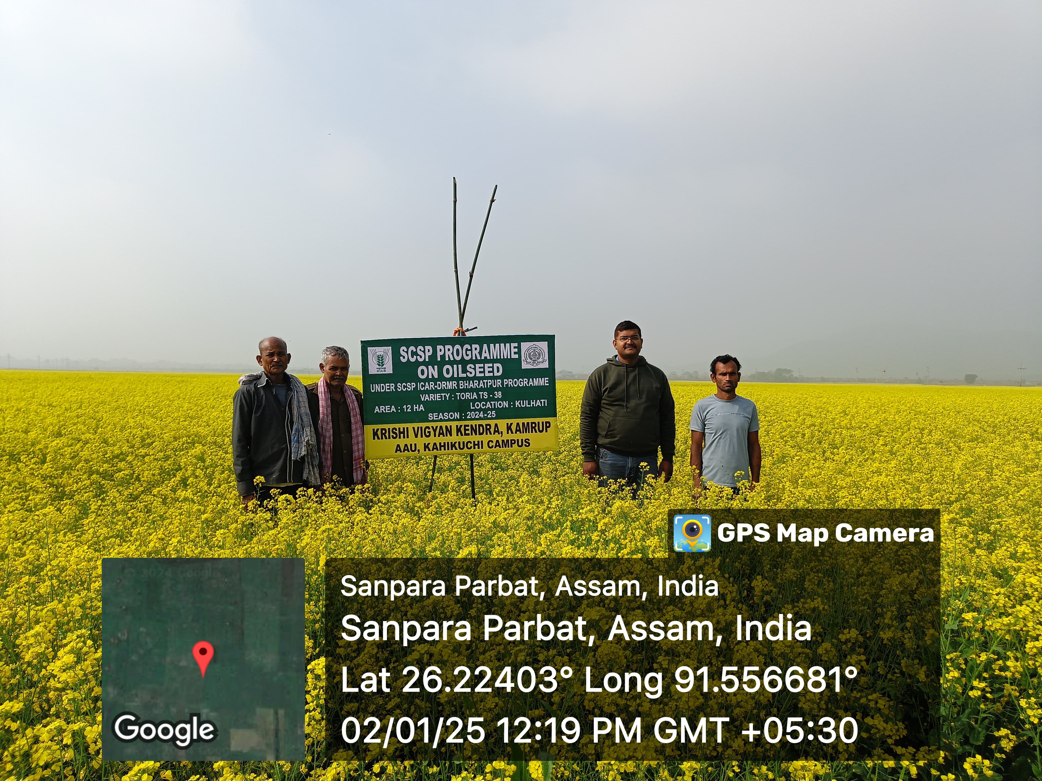 SCSP PROGRAMME ON OILSEED